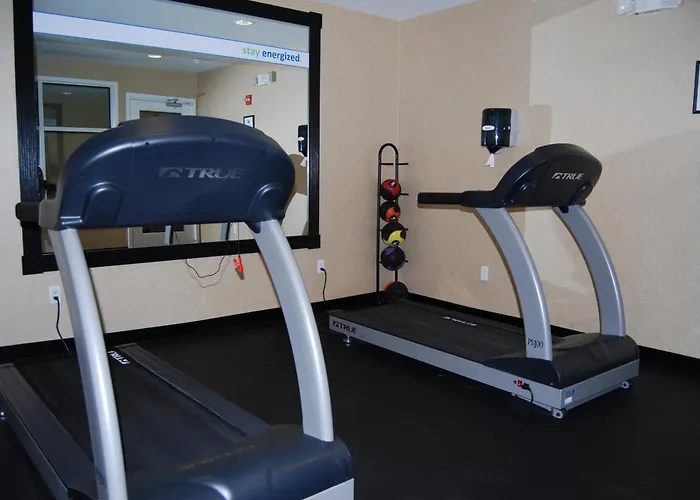 Holiday Inn Express Hotel & Suites Auburn Hills By Ihg